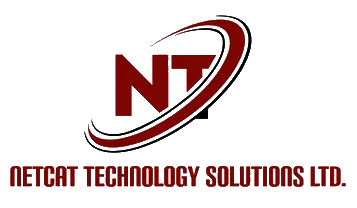 NETCAT TECHNOLOGY SOLUTIONS LTD